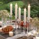 Collenette Dinner Candles / 9 inches
